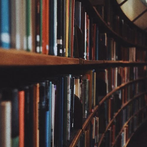 The Book Shelf Brown Wooden Book Shelves with Books - Free Use